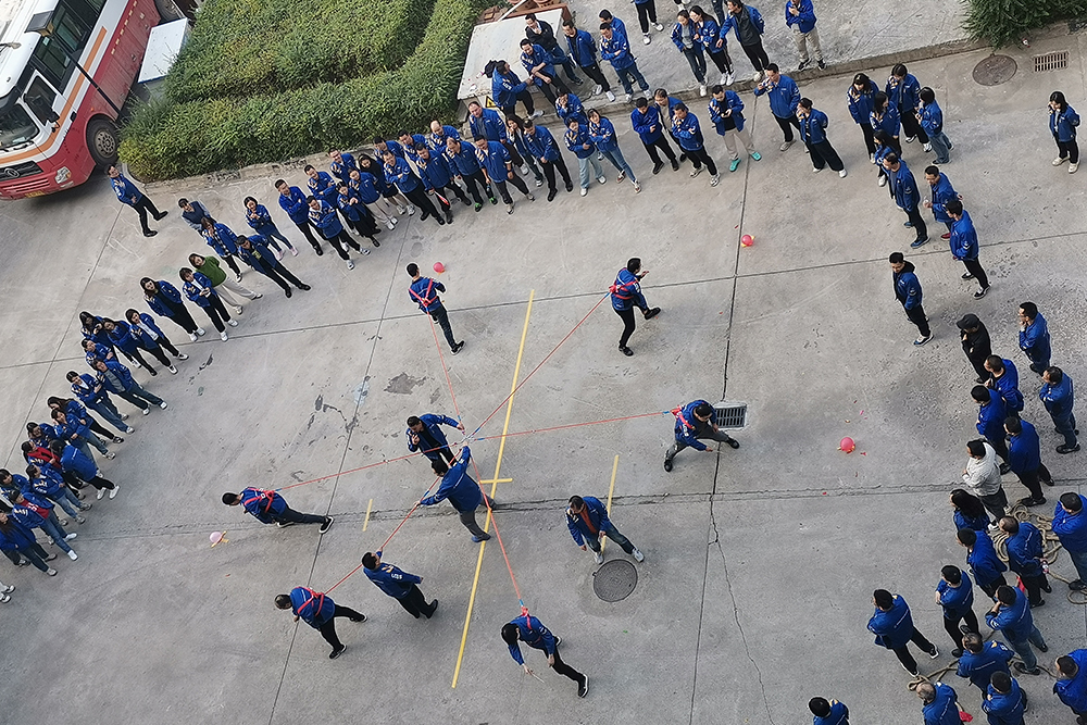 ladbrokes立博-公司官网